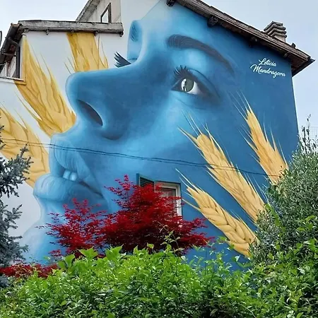 Garden *
